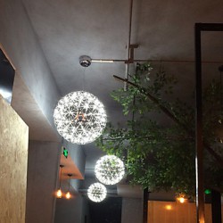 220V 20*20CM 5-10㎡Contracted And Contemporary Chandelier Creative Round Droplight Lamp Led Light