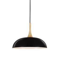 Mini Artistic Pendant Lamp/1 Light/Modern Simplicity/Black/White/Finish Aluminum & Wooden Droplight