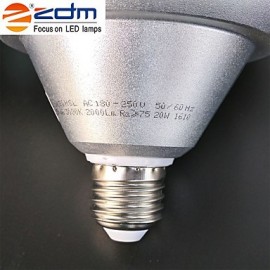 20W E26/E27 LED Globe Bulbs 40 SMD 5730 2000 lm Warm White / Cool White AC 220-240V