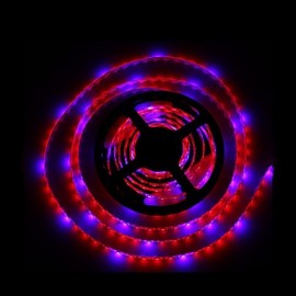 5M SMD5050 4Red1Blue 300LED IP65 Hydroponic Systems Led Plant Grow Light Waterproof Led(DC12V)