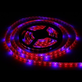 5M SMD5050 4Red1Blue 300LED IP65 Hydroponic Systems Led Plant Grow Light Waterproof Led(DC12V)