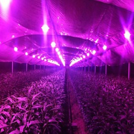 10W LED Grow Light Full Spectrum Integrated Grow LED Chip Cover 380nm~840nm Best for Hydroponics/Greenhouse