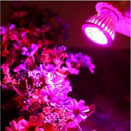 5W LED Grow Lights 10 SMD 6Red4Blue 5730 95-115 lm AC 85-265 V 1 pcs