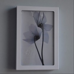 LED Integrated Modern/Contemporary Modern/Comtemporary Painting Feature for Bulb Included,Ambient Light Wall Sconces