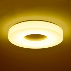 Dimmable Ultra-thin Round Wood Ceiling Light with Acrylic Shade LED Ceiling Lamp Nordic Style