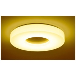 Dimmable Ultra-thin Round Wood Ceiling Light with Acrylic Shade LED Ceiling Lamp Nordic Style