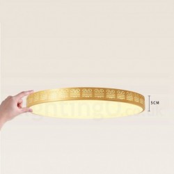 Ultra-thin Round Pure Brass Hollow LED Modern Contemporary Nordic Style Flush Mount Ceiling Light with Acrylic Shade