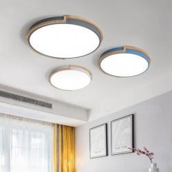 Nordic Modern Contemporary Ceiling Light