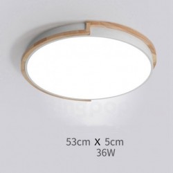 Nordic Modern Contemporary Ceiling Light