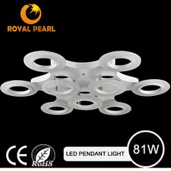 Warm white Hot Selling Led Circle Pendant Lighting For Shopping Mall