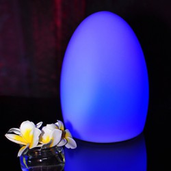 LED Light in Egg Shape