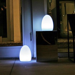 LED Light in Egg Shape